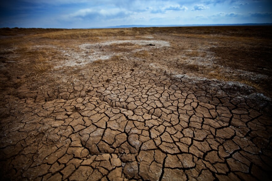 Once a wetland — one of the very few in the Gobi — this area has been drying up over the past several years, thanks to rising temperatures and lower rainfall.