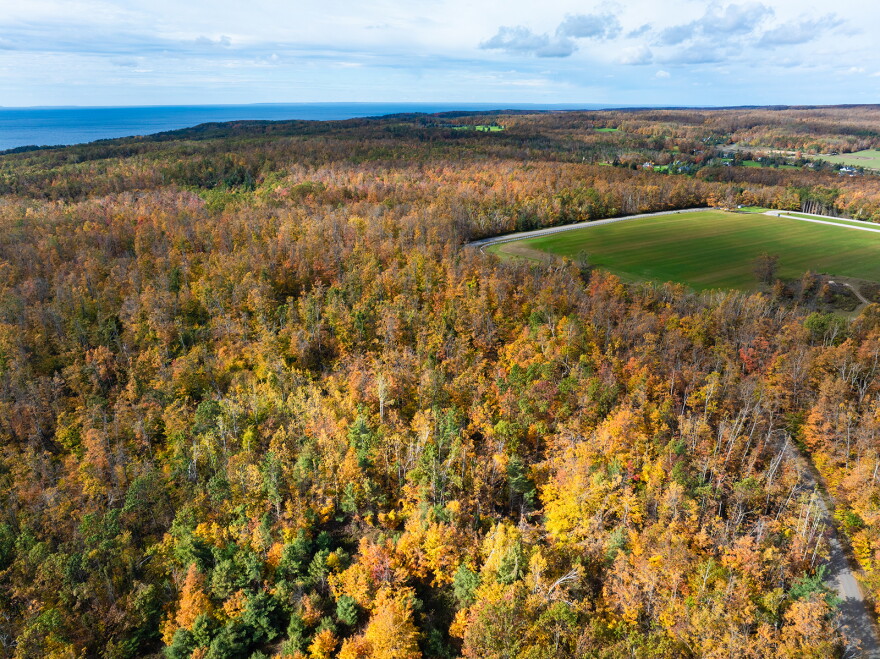 The Hundred Acre Wood in Harbor Springs. The land was recently purchased by the Little Traverse Conservancy.