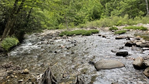 Jones Cove Branch runs into Richland Creek which runs into the Pigeon River.