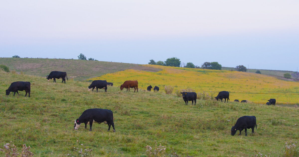 Missouri Farm Bureau Pushes Controversial Health Plan Approval