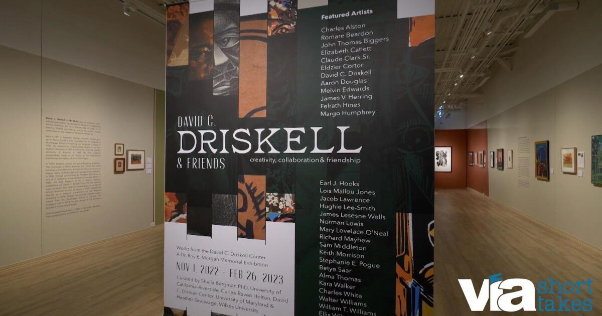 David Driskell