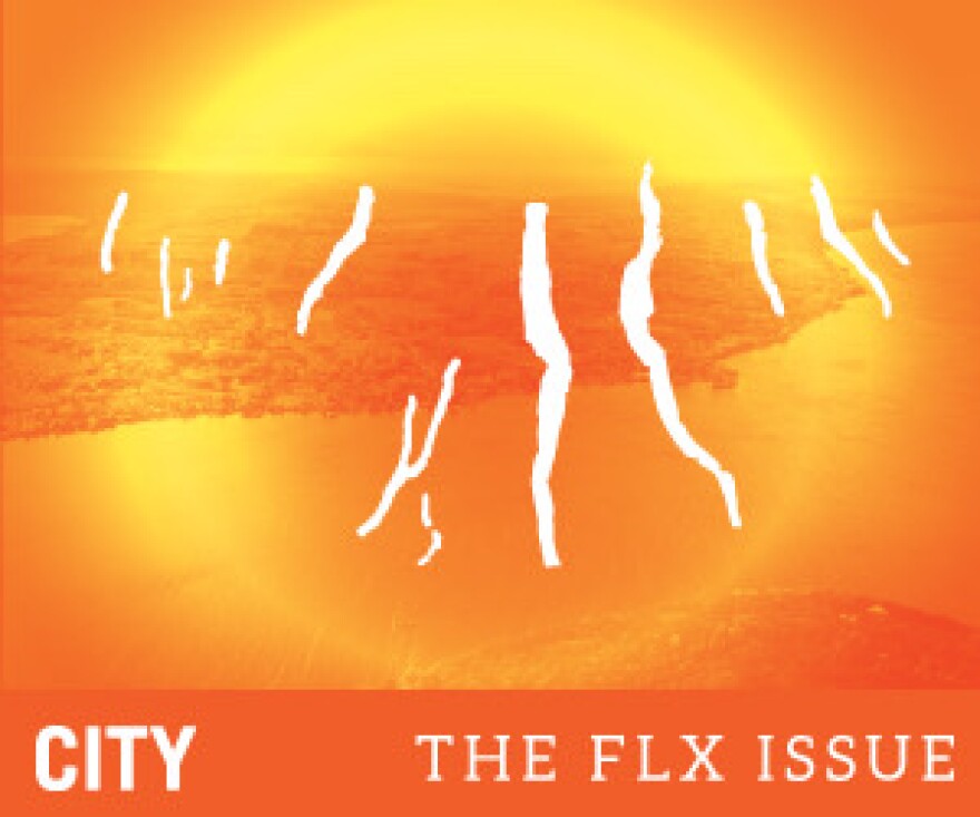 An orange, yellow, and white image of the Finger Lakes. Text reads "CITY THE FLX ISSUE"