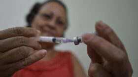 People line up to receive the yellow fever vaccine at a public health post in Caratinga, in the southeastern state of Minas Gerais, Brazil, on Jan. 13, 2017. (Douglas Magno/AFP/Getty Images)