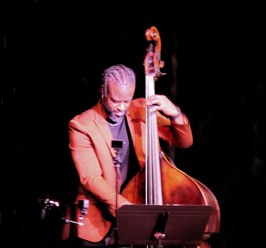 Brandon L. Robertson is an Emmy-nominated director and notable upright/Electric bassist originally from Tampa.
