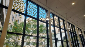 Yellow hearts grace windows at Mercy Springfield, part of a COVID-19 Memorial