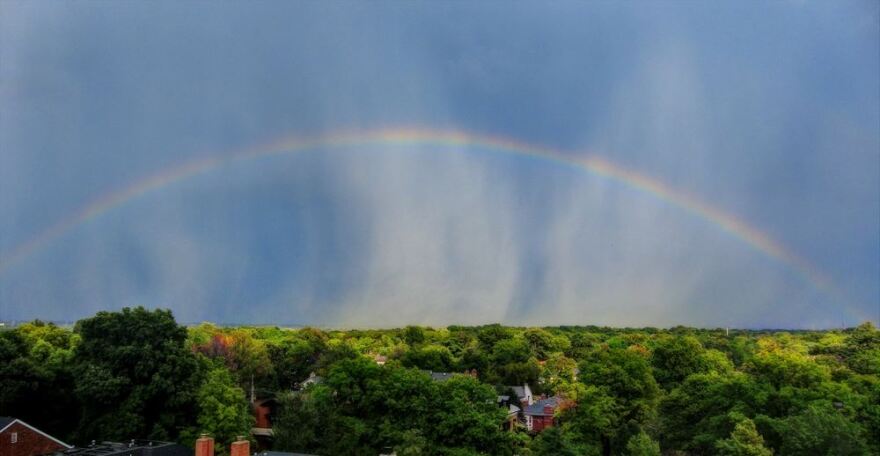 Rainbow over trees