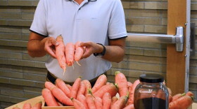 A man holds up three carrots, in front of a table of carrots and a jar of something that looks like coffee grinds.