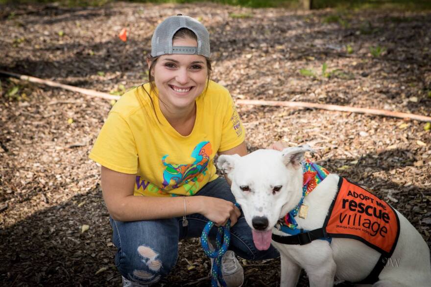 A photo of a dog on a leash with Rescue Village marketing coordinator