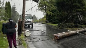 a broken telephone pole