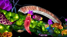 A photo at night of a lit-up sign reading "Dragon Lights Festival" with brightly colored, lit-up fish and flowers surrounding it.