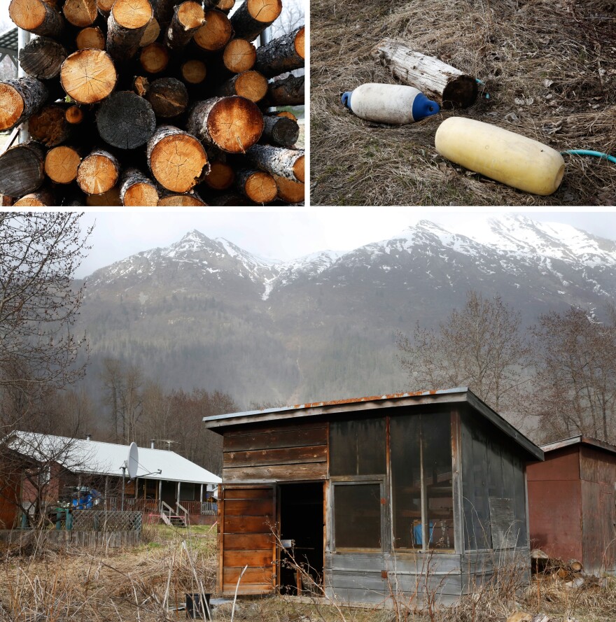 The Chilkat River is the lifeline of this community. The Tlingit people fish for salmon right outside their back door. There are fish-cleaning tables along the river banks, and smokehouses people have built behind their homes to cure their fish.