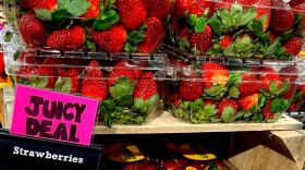 Strawberries for sale at Guido’s Fresh Marketplace in Great Barrington, MA