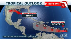 Forecast Track for TD 8 and Gonzalo