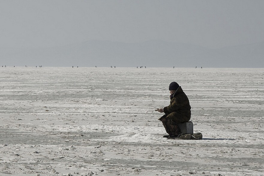 ice_fish2.jpg