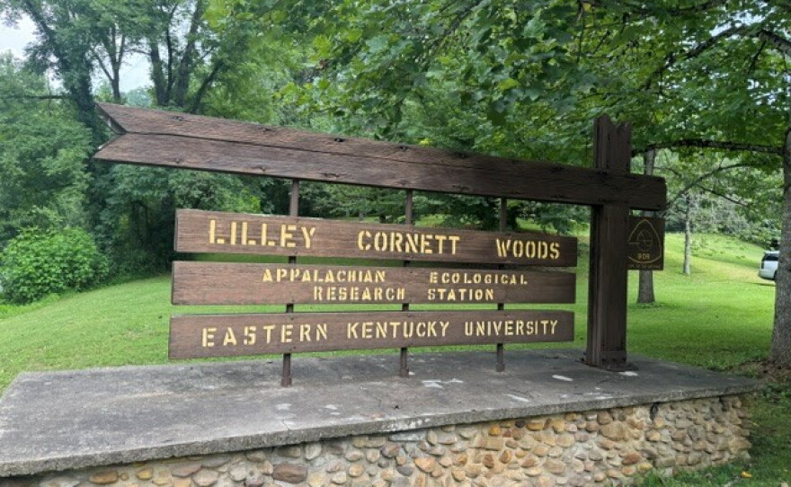 The entrance to Lilley Cornett Woods in Letcher County