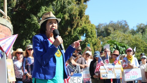 A woman wearing a blue blazer and straw hat speaks into a microphone in front of a crowd of people holding signs and flags.
