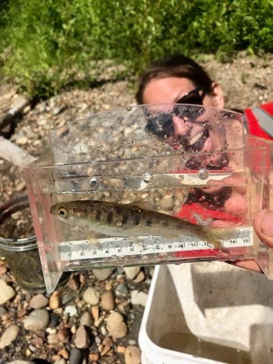 Jillian Jablonski poses with a fish on the west side of Cook Inlet in 2019.