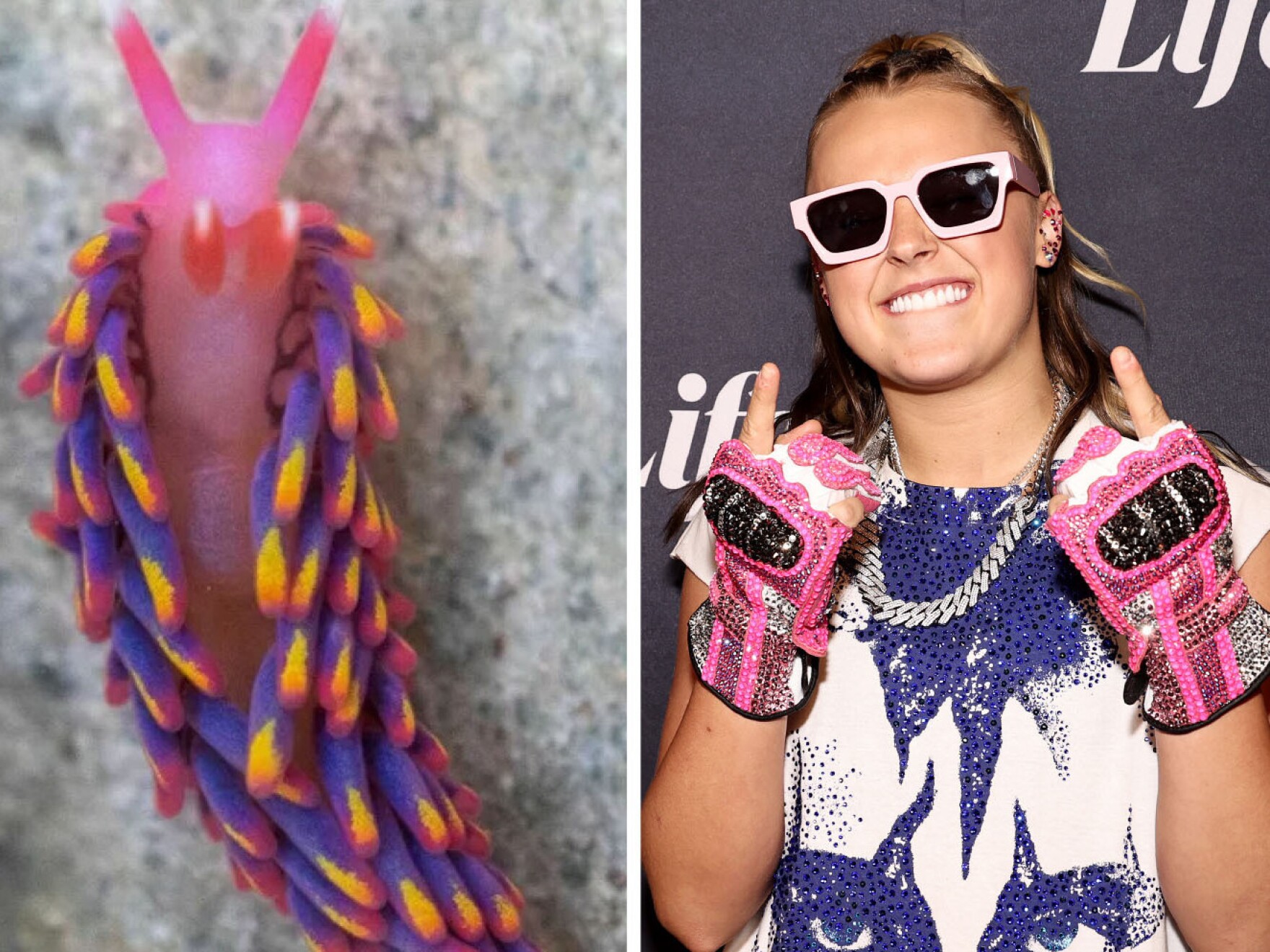 What Did The Internet Call satanic Find Out In The News Quiz KCLU what-did-the-internet-call-satanic-find-out-in-the-news-quiz-kclu