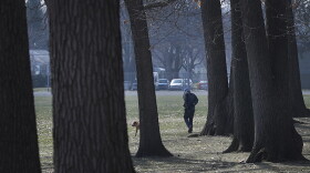 A dog is walked, Wednesday, March 25, 2020, in Oak Park, Mich. Health care and government officials have been urging people to get outside and shake off the COVID-19 and coronavirus blues for both our mental and physical health.
