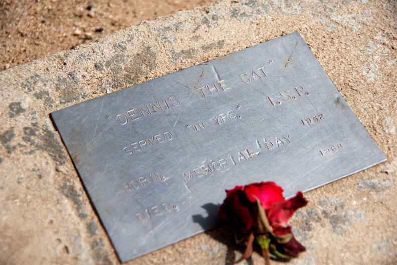 Dennis the Cat has the only marked grave inside the walls of the Old Idaho Penitentiary.