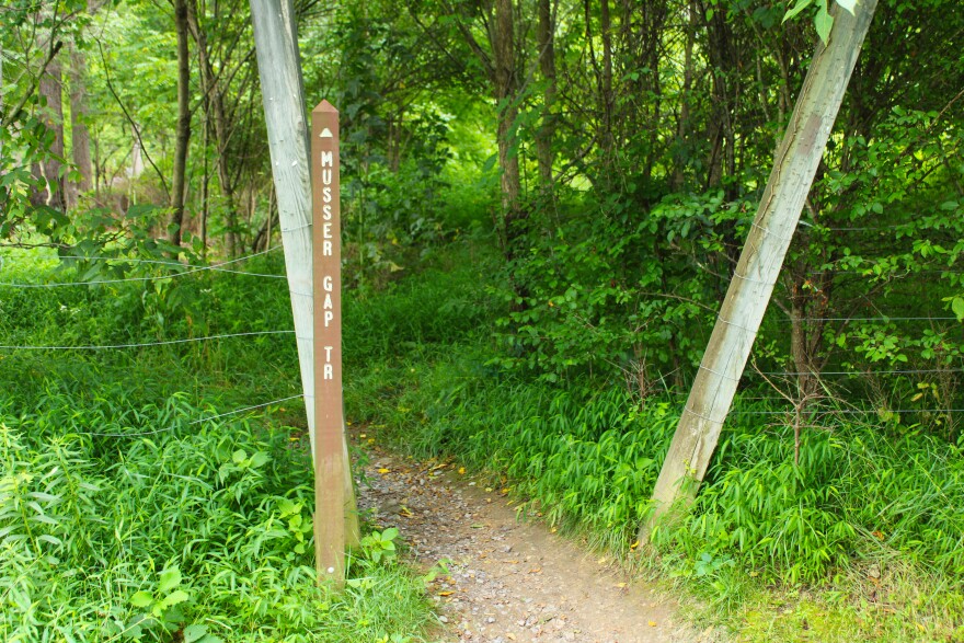 The sign at the head of Musser Gap Trail on July 18.