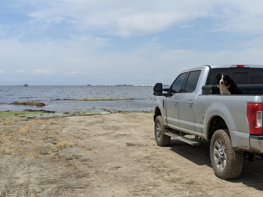 In the back of the pickup truck, Opi the dog can’t wait to jump into the water.