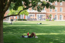 A person reads on the Main Quad at the University of Illinois Urbana-Champaign.