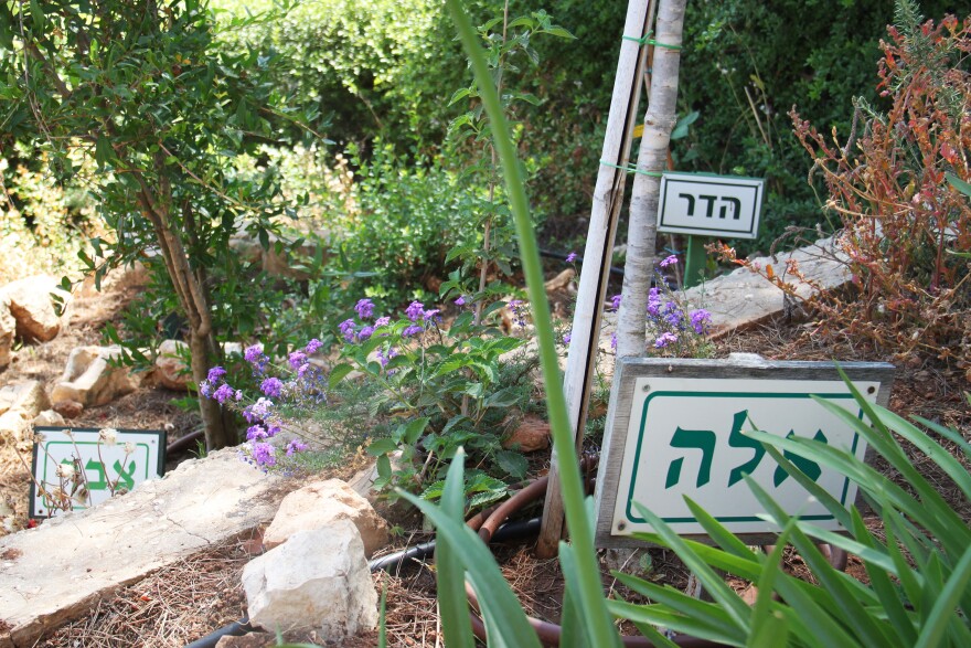 Ephraim Bluth has planted new saplings in his garden, each with a plaque bearing the name of one of his 28 grandchildren. Israeli authorities say Palestinian arsonists threw a firebomb in November 2016, causing a forest fire that consumed Bluth's yard and burned down neighboring homes in his West Bank settlement<strong>.</strong>