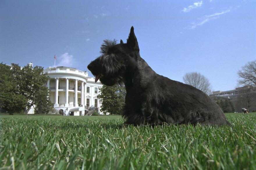 Barney at the White House.