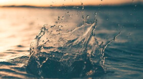 A splash of open water to convey an abundance of H2O.