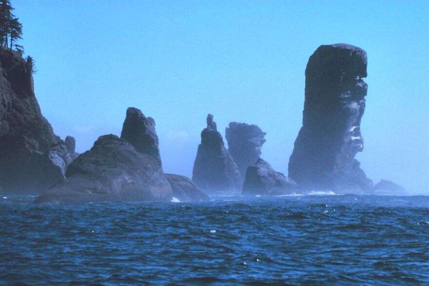 Fuca Pillar at Cape Flattery, the northwest extremity of the Olympic Peninsula. Olympic Coast National Marine Sanctuary, Washington.