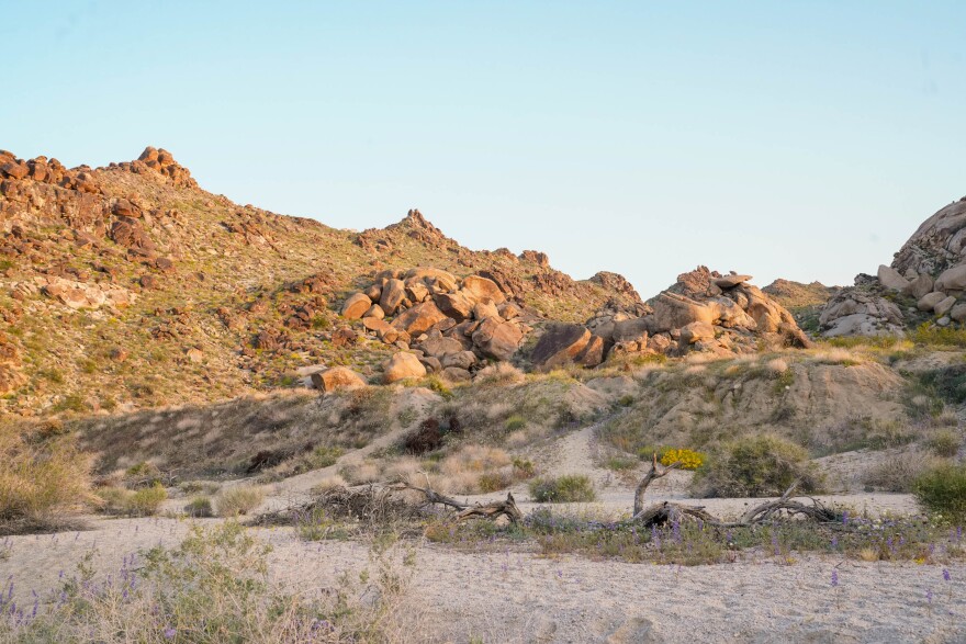 Biden established the Avi Kwa Ame National Monument in March of 2023. The Nevada site is central to the creation story of several tribes.