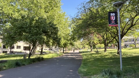 A paved path is surrounded by grass and trees. 