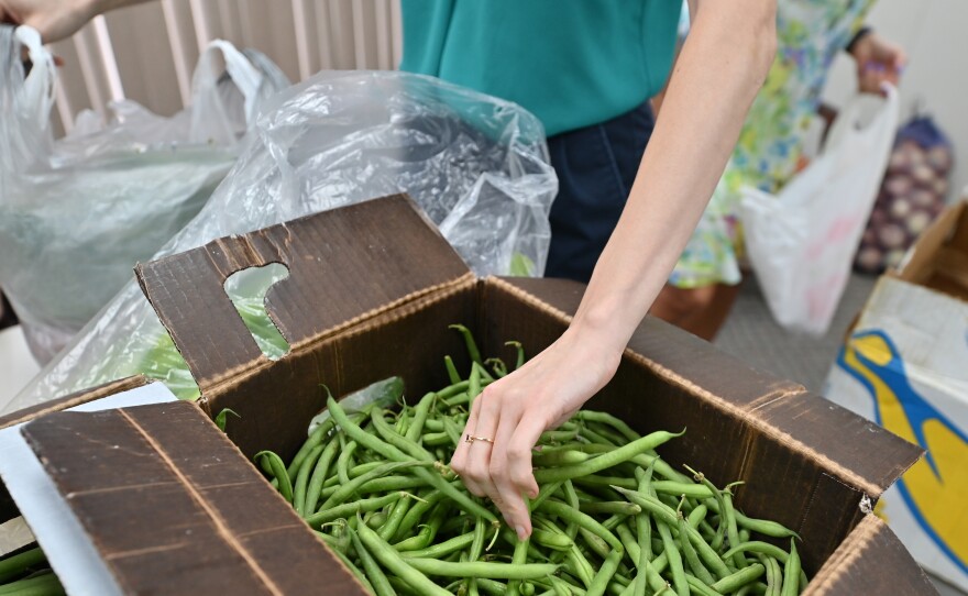 Elsa Romero packs fresh green beans for Volunteers in Medicine clients.