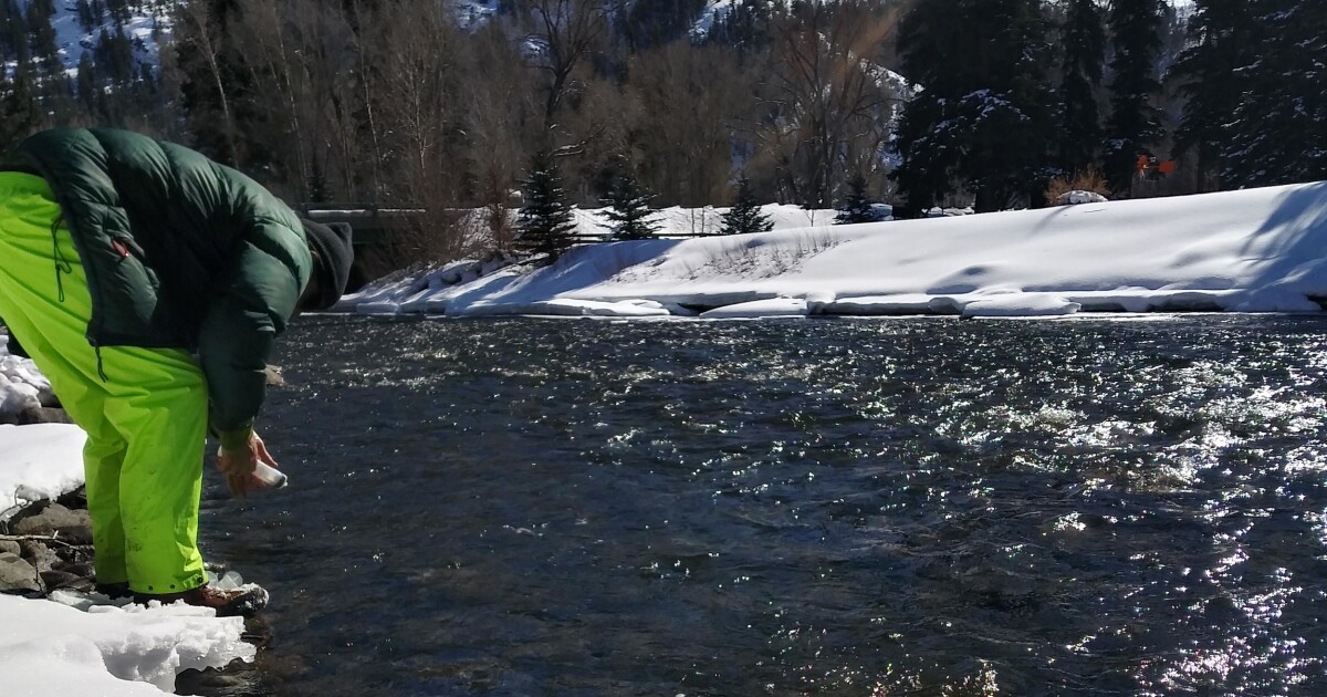 Western rivers may be pulling carbon from the atmosphere, surprising scientists