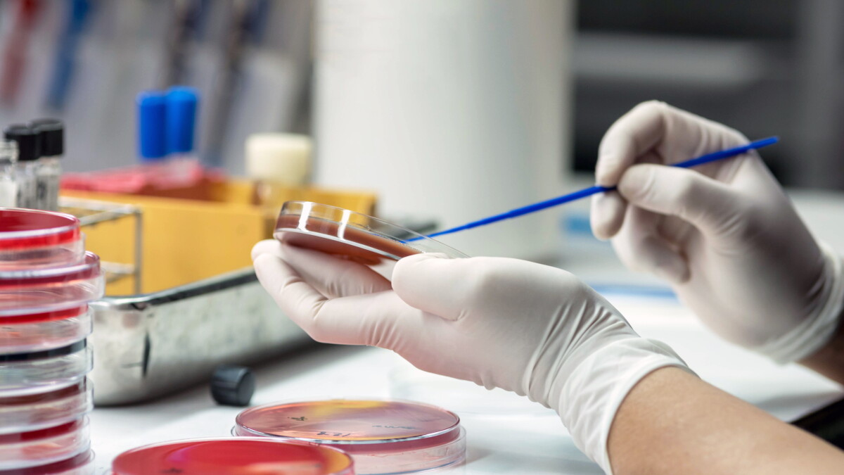 Amid calls for revitalization of antimicrobial research, PASTEUR Act could help - Vimarsana News