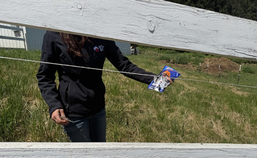 Erin Bradley picks up trash around the Bit By Bit property, May 8, 2026.