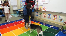 Bond Hill Academy students take turns petting Peanut