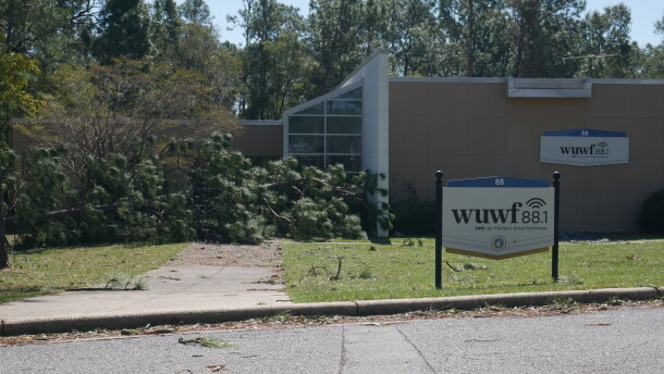 A fallen pine blocks the walkway outside WUWF's studios on the University of West Florida campus after Hurricane Isaias. The tree narrowly missed the building, according for UWF President, Manny Diaz Jr.