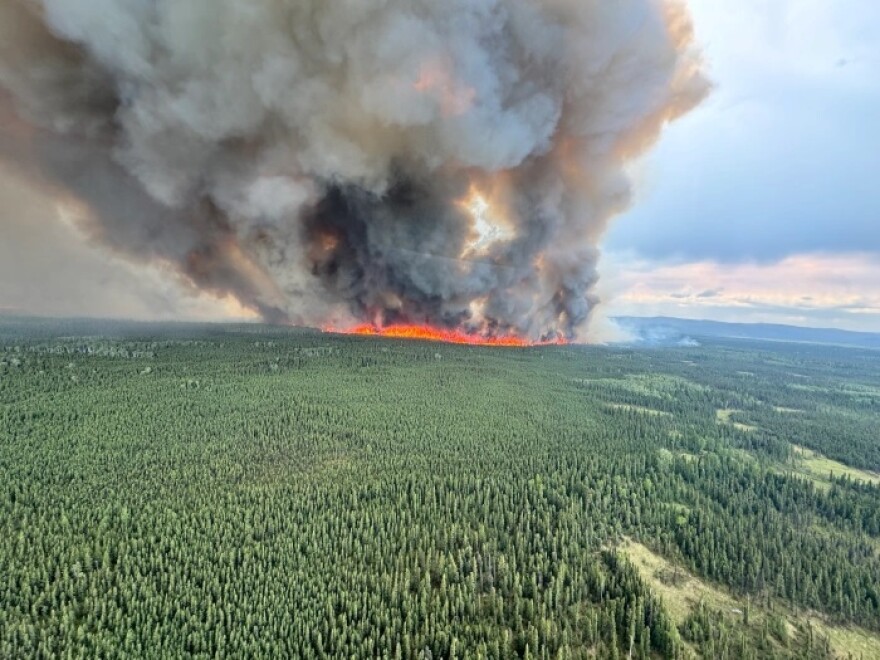 An aerial view of the McDonald Fire burning through black spruce near Salcha on Thursday, June 20, 2024. The blaze has since grown to more than 54,000 acres.