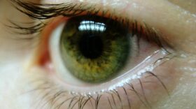 (Creative Commons photo by Alex)