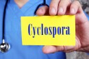 Nurse holding paper that reads "Cyclospora"
