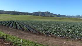 The Brughelli Ranch south of San Luis Obispo County Regional Aiport includes cropland, space for livestock, and a seven-acre reservoir.