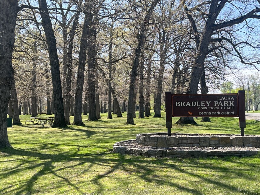 The Christopher Columbus Statue was visible from the road until it was taken down in 2020 in this section of Upper Laura Bradley Park in Peoria. The planning committee hopes the new installation will also be visible from the road and attract visitors.