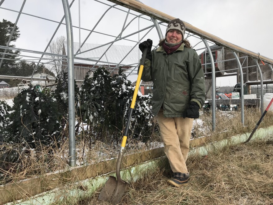 In November in East Hardwick, Mary-Ellen Lovinsky prepared a hoophouse for winter.