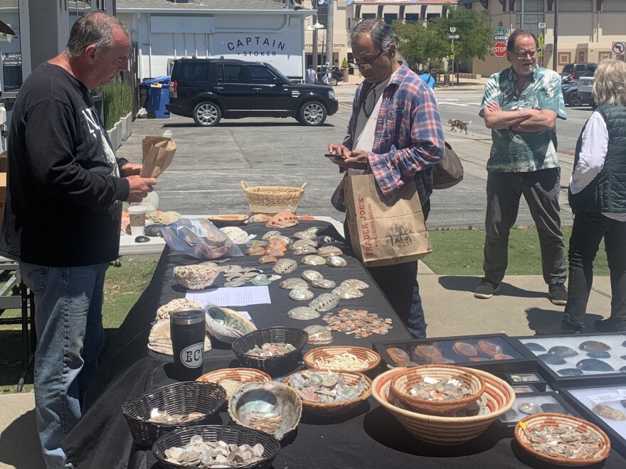 Monterey's first-ever abalone festival drew crowds of visitors, including abalone shell enthusiasts from around the US. There are conservation efforts to preserve the endangered sea snail.