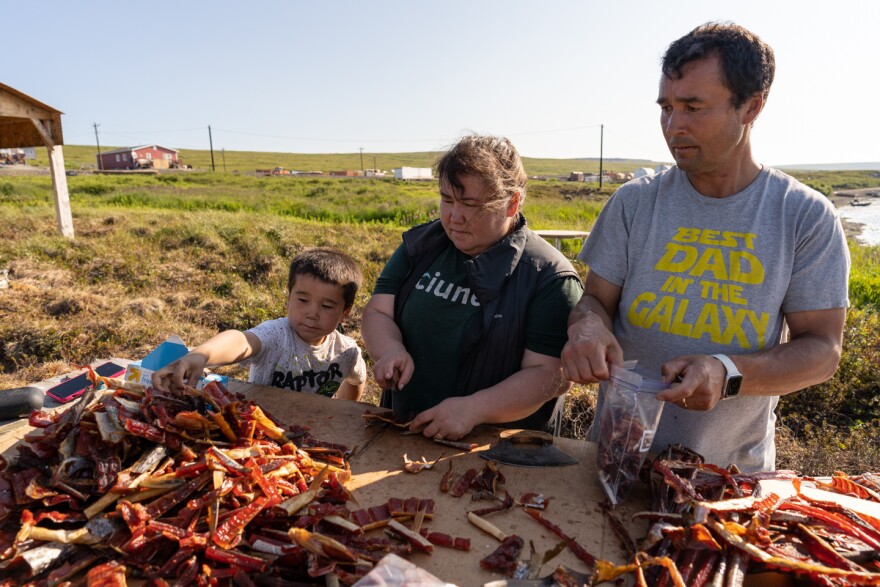 Jeffrey Charles Jr. grabs a quick snack while his parents, Lisa and Jeffrey Charles, cut strips near their smoke house in Mertarvik, Alaska. Lisa says that limited access to a grocery store has them eating more subsistence foods. July 15, 2020.