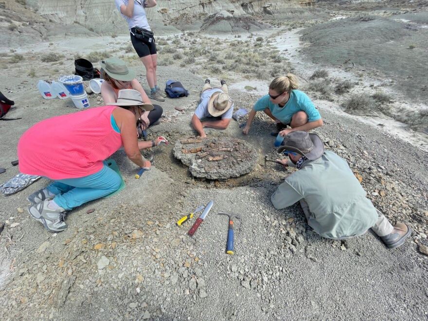 Students and Mills work within their designated excavation space in the field.