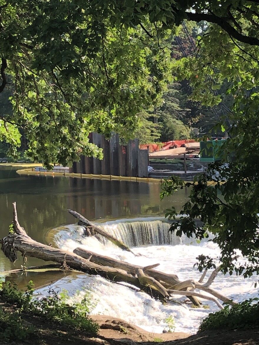 The wall of sheet pile will be removed after fish passage construction is complete.