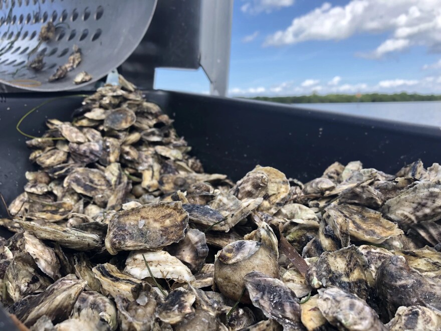 Environmentalists who sued the Environmental Protection Agency Administrator on Tuesday say they found dozens of facilities that dump water laced with mercury into Florida waters, that can contaminate shellfish and other marine life consumed by humans.